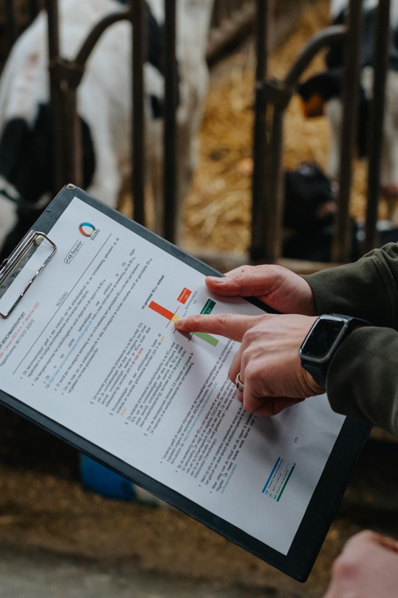 Datagedreven antibiotica reductie coach melkvee bedrijfsadvies