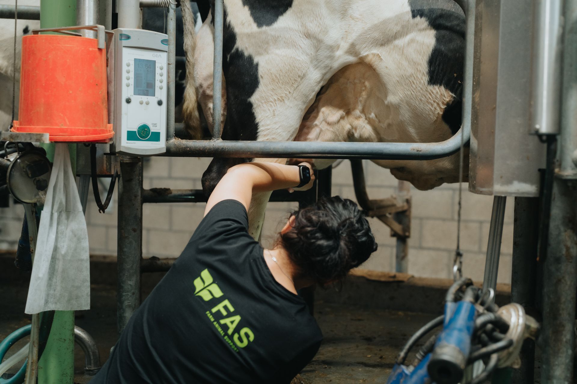 Ondersteuning veldproeven koeien uiers