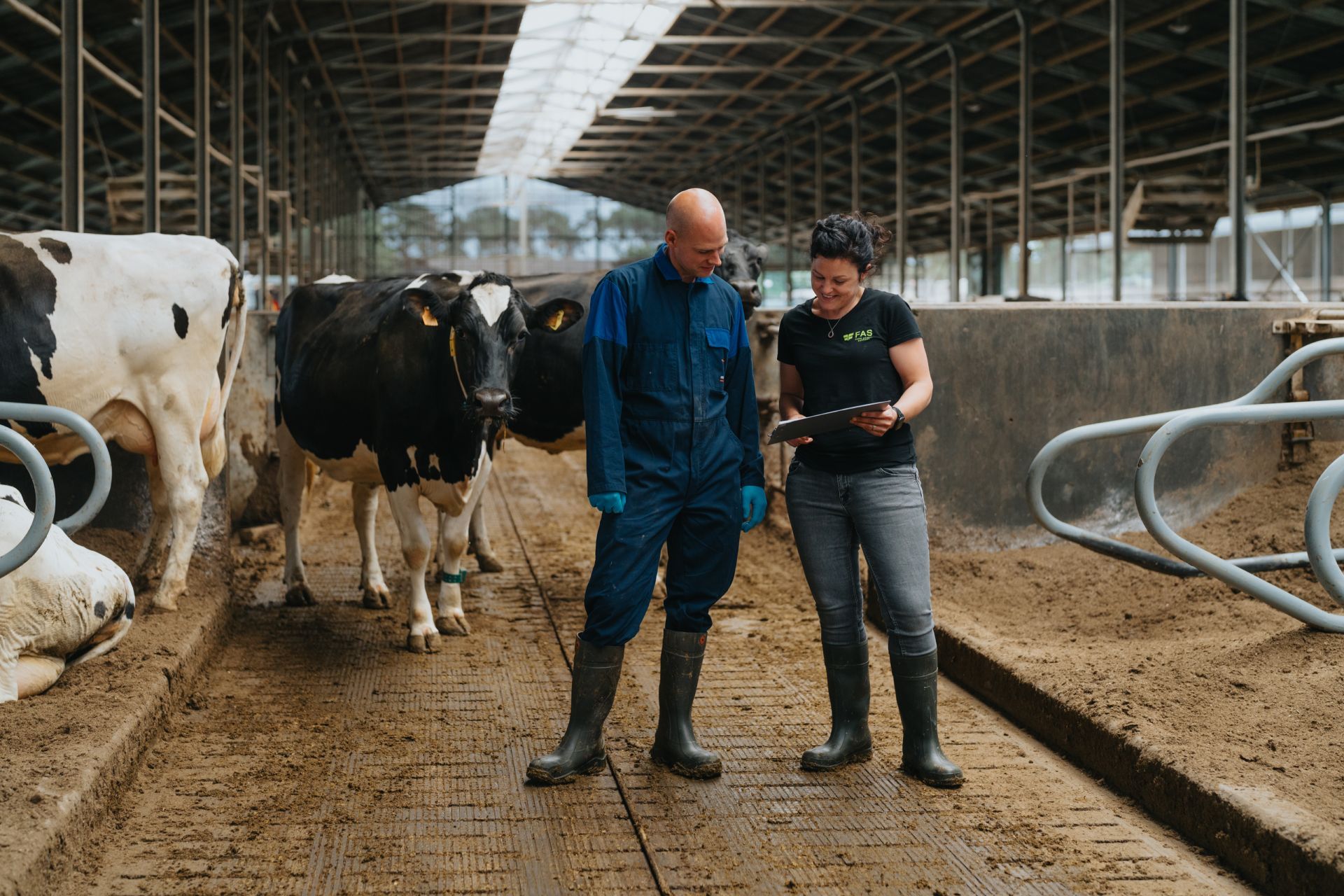 Bacteriologisch onderzoek uierontsteking melkvee