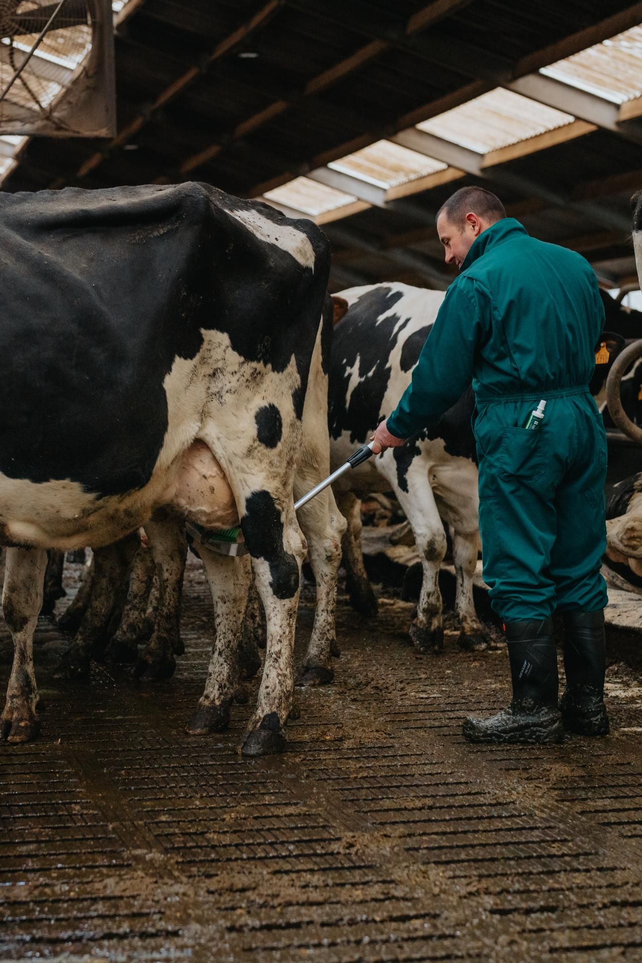 Opti udder farm animal support