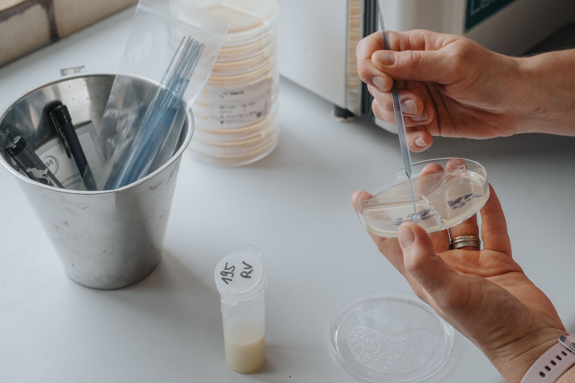 Bacteriologisch onderzoek uierontsteking melkvee